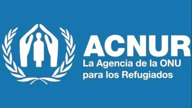 Encuesta Acnur: ¿Cuántos venezolanos quieren regresar al país? Encuesta Acnur: ¿Cuántos venezolanos quieren regresar al país?
