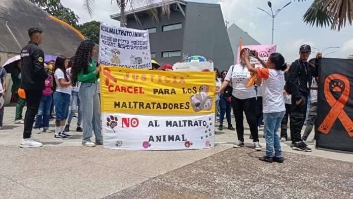 Crueldad animal en Monagas: exigen justicia por envenenamiento de un centenar de mascotas Crueldad animal en Monagas: exigen justicia por envenenamiento de un centenar de mascotas