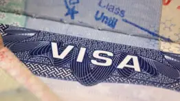 Trámites en pausa: Lo que debes saber sobre la reactivación de citas de USCIS