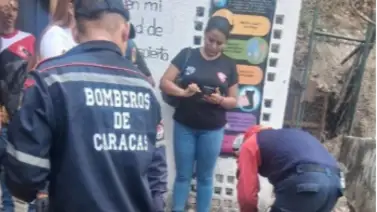 Árbol de 10 metros cae sobre un hombre en La Vega: este es su estado de salud Árbol de 10 metros cae sobre un hombre en La Vega: este es su estado de salud