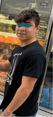 Identificado y detenido: El exhibicionista y acosador de Florida era un menor de 17 años Identificado y detenido: El exhibicionista y acosador de Florida era un menor de 17 años