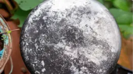 Consejos infalibles para recuperar tus ollas quemadas: simples pasos para dejarlas como nuevas