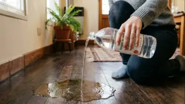 Limpieza eco-frendly y desinfección: este ingrediente será tu aliado infalible en el hogar Limpieza eco-frendly y desinfección: este ingrediente será tu aliado infalible en el hogar