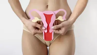 Avance del HIFU íntimo como solución no invasiva para el suelo pélvico: tecnología y salud femenina Avance del HIFU íntimo como solución no invasiva para el suelo pélvico: tecnología y salud femenina