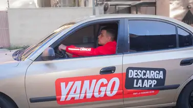 Yango Yango