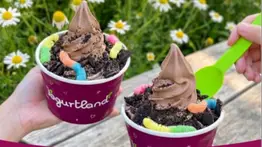 Yogurtland ofrece 2x1 este 22 de abril: pasos para activar el cupón gratuito
