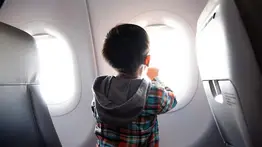 Requisitos legales para el traslado de mejores en Venezuela: conozca las normas del Saren 