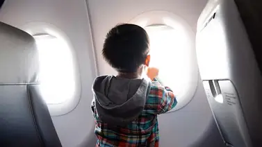 Requisitos legales para el traslado de mejores en Venezuela: conozca las normas del Saren Requisitos legales para el traslado de mejores en Venezuela: conozca las normas del Saren