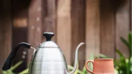 Claves para cuidar la tetera de acero inoxidable: guía de mantenimiento doméstico