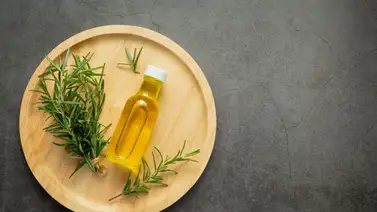 Entérate de cuáles son los tres beneficios que aporta el romero al cabello y cómo debes aplicarlo para aprovechar su efecto Entérate de cuáles son los tres beneficios que aporta el romero al cabello y cómo debes aplicarlo para aprovechar su efecto