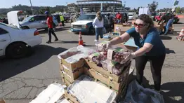 Comida gratis en Florida: puntos de distribución y horarios para este viernes 24 de abril 