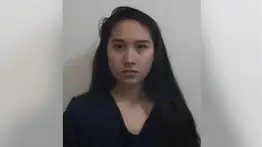 Alerta en Texas: detienen a dos jóvenes por intento de ataque a una sinagoga