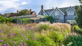 Césped alto, multas altas: la nueva medida de control de maleza si vives en Texas