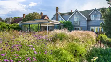 Césped alto, multas altas: la nueva medida de control de maleza si vives en Texas Césped alto, multas altas: la nueva medida de control de maleza si vives en Texas