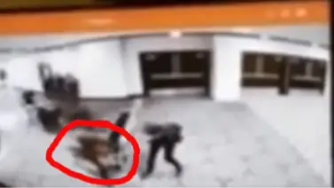 EN VIDEO: Donald Trump muestra cómo el Servicio Secreto acorraló al tirador en la cena de corresponsales EN VIDEO: Donald Trump muestra cómo el Servicio Secreto acorraló al tirador en la cena de corresponsales