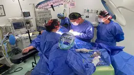 ¿Cómo va el despliegue del Plan Quirúrgico Nacional para docentes?: testimonios