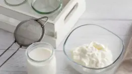 Yogur casero: guía sencilla para disfrutar de un alimento natural y saludable sin salir de casa a bajo costo