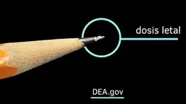 ¿Qué es el carfentanilo? La droga para elefantes que dispara las muertes por sobredosis en EEUU