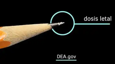 ¿Qué es el carfentanilo? La droga para elefantes que dispara las muertes por sobredosis en EEUU ¿Qué es el carfentanilo? La droga para elefantes que dispara las muertes por sobredosis en EEUU