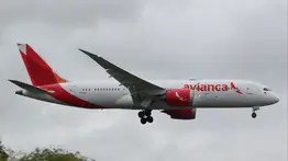 Avianca solicita autorización para operar entre Maracaibo y Bogotá