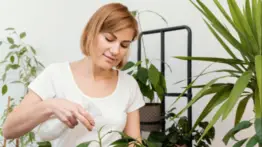 Este es el económico aliado blanco de la botánica doméstica: pilar del mantenimiento de tus plantas