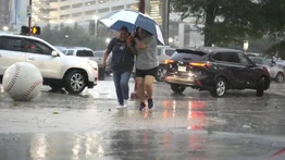 Tormentas houston pronóstico estados unidos texas