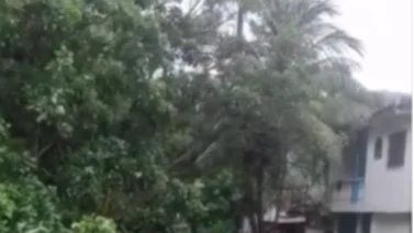 En Imágenes: crecida del río arrastra embarcaciones en Choroní este 01 de mayo