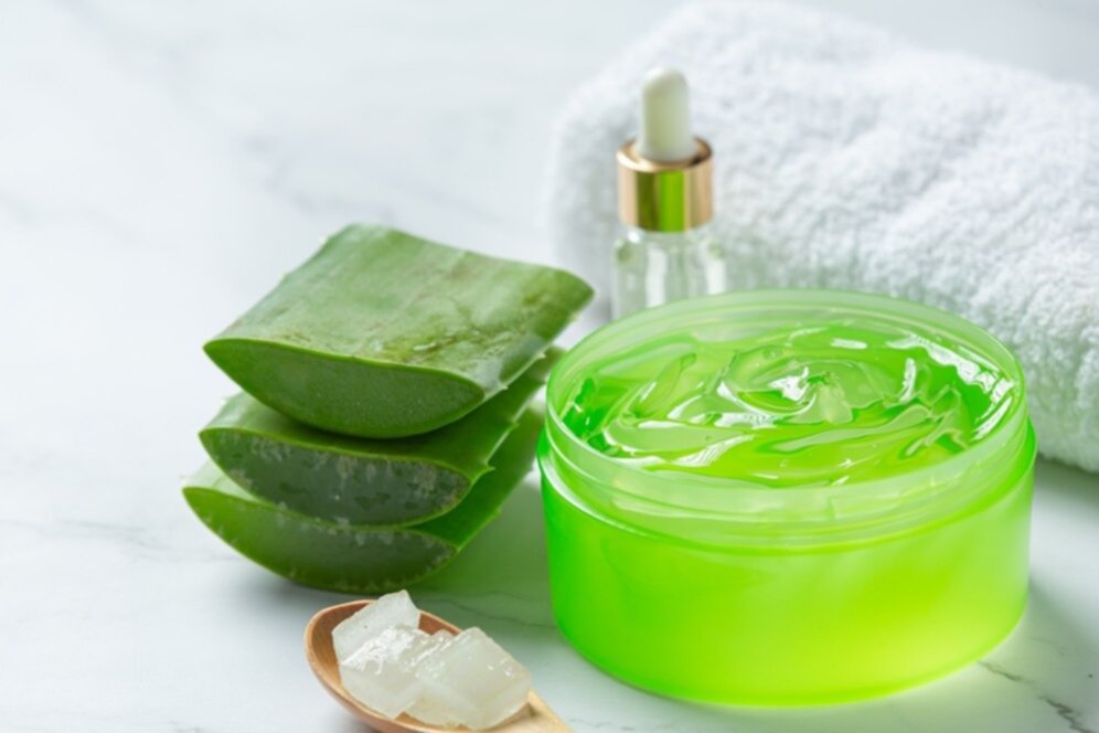 Aloe vera para tu piel: cinco aplicaciones caseras que hacen milagros Aloe vera para tu piel: cinco aplicaciones caseras que hacen milagros