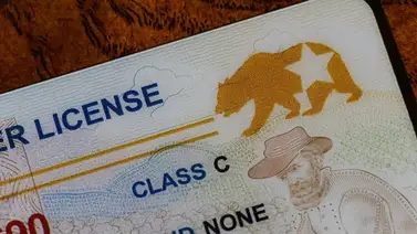 Estados Unidos: el documento que sirve como alternativa para la Real ID Estados Unidos: el documento que sirve como alternativa para la Real ID