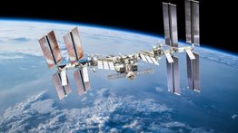 NASA descubre que la microgravedad en el espacio destruye los huesos: realizan pruebas en ratones
