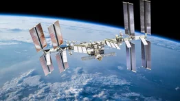 NASA descubre que la microgravedad en el espacio destruye los huesos: realizan pruebas en ratones
