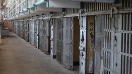 Prisión preventiva para venezolanos que extorsionaban a dueños de una pollería: enviaban amenazas de muerte 