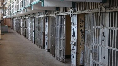 Prisión preventiva para venezolanos que extorsionaban a dueños de una pollería: enviaban amenazas de muerte 