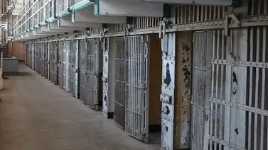 Prisión preventiva para venezolanos que extorsionaban a dueños de una pollería: enviaban amenazas de muerte  Prisión preventiva para venezolanos que extorsionaban a dueños de una pollería: enviaban amenazas de muerte