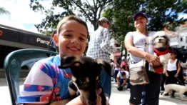 Habrá jornada de adopción de mascotas en Caracas este fin de semana: estos son los requisitos
