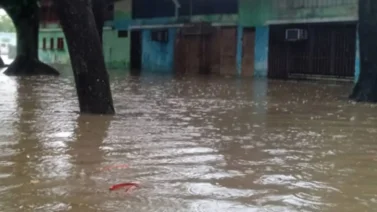 Fuertes lluvias provocan anegaciones en cinco sectores de Portuguesa: Protección Civil activa monitoreo