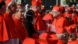Cónclave: cardenales en Roma listos para elegir al sucesor de Francisco