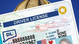 Estos inmigrantes pueden tramitar una Real ID por tiempo limitado 