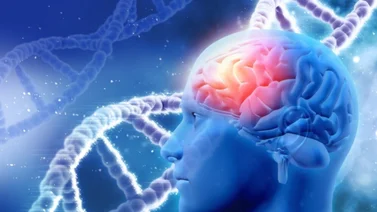Entérate de cual es la efectiva infusión que relaja el sistema nervioso