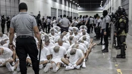 Directora de HWR advierte que deportaciones a El Salvador son una desaparición forzosa 