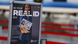 Estadounidenses deberán cumplir con la norma REAL ID este 7 de mayo: estados que no la requieren 