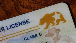 Nueva Jersey lanza programa "Martes de Real ID" para facilitar los trámites de licencias: ofrecerán 5.200 citas adicionales