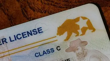 Nueva Jersey lanza programa "Martes de Real ID" para facilitar los trámites de licencias: ofrecerán 5.200 citas adicionales Nueva Jersey lanza programa "Martes de Real ID" para facilitar los trámites de licencias: ofrecerán 5.200 citas adicionales