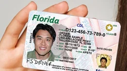 Este grupo de personas deberá renovar la licencia de conducir anualmente en Florida