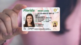 Impondrán multas a quienes vendan cupos para tramitar la licencia de conducir en Florida