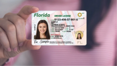Impondrán multas a quienes vendan cupos para tramitar la licencia de conducir en Florida