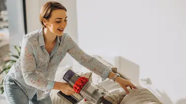 Solución natural: elimina las chinches de colchones y muebles con la lavanda Solución natural: elimina las chinches de colchones y muebles con la lavanda