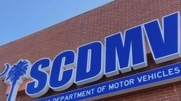 El DMV presentará un nuevo diseño de matrícula estándar para Carolina del Sur: cómo se verá y cuándo será emitida