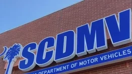El DMV presentará un nuevo diseño de matrícula estándar para Carolina del Sur: cómo se verá y cuándo será emitida
