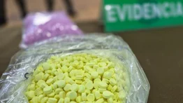 Arrestan a dos venezolanos tras operativo antidrogas: autoridades incautan 33 mil pastillas de metanfetamina